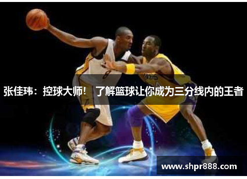 张佳玮：控球大师！ 了解篮球让你成为三分线内的王者